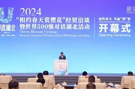 关于柔道公开赛上演强强对话，江汉犀牛队翻盘蓬莱飞鹰队，战术调整见效；定海神针仍在的信息